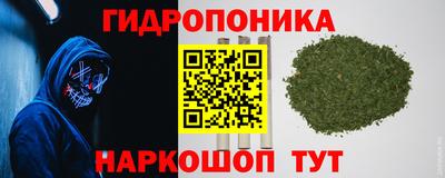 гидра Обь