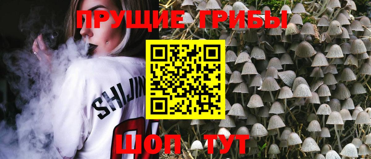 Псилоцибиновые грибы GOLDEN TEACHER Сланцы