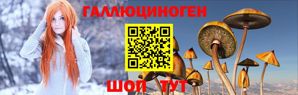 Псилоцибиновые грибы мицелий  цена наркотик  Сланцы  Вход с VPN  Псилоцибиновые грибы прущие грибы 